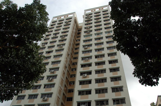 Blk 210 Petir Road (Bukit Panjang), HDB 5 Rooms #213052